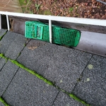 Gutter Cleaning