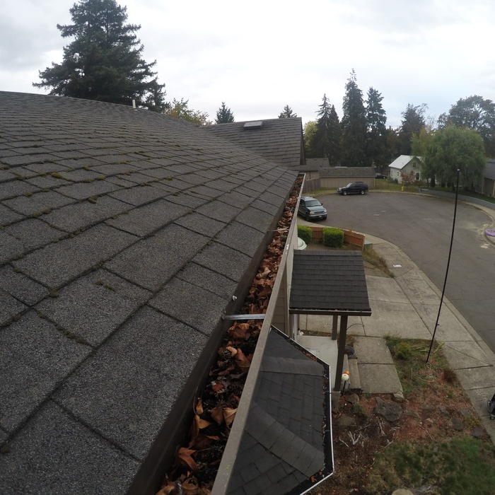 Gutter Cleaning