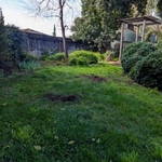Back Yard Before