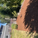 Mulch