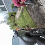 sowing grass