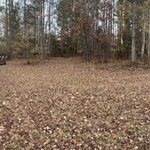 Forestry Mulching