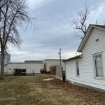 Removal of Mature Elm Monroe City, MO
