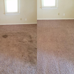 Carpet Cleaning