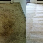 Carpet Cleaning