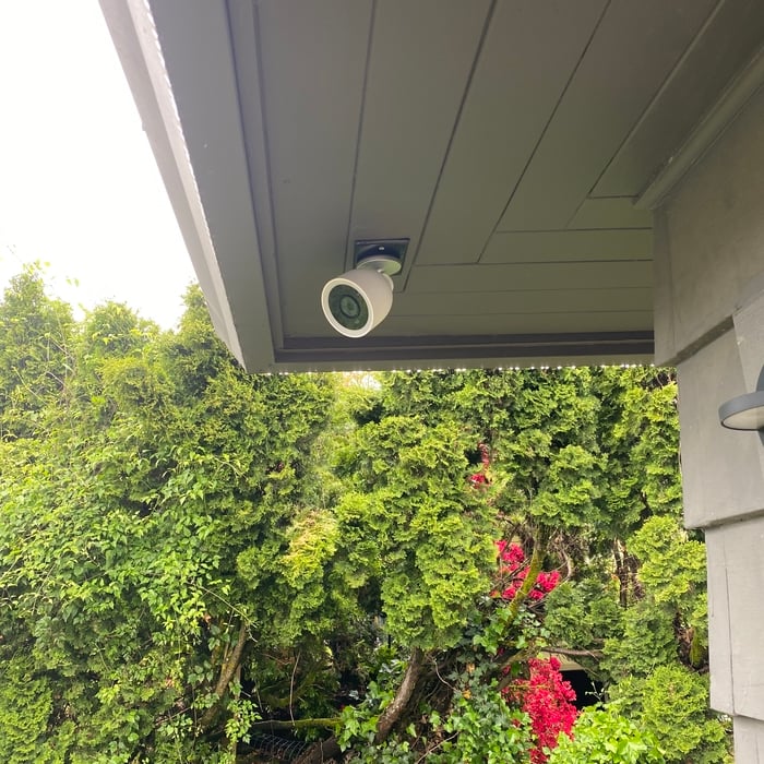 Nest IQ Camera