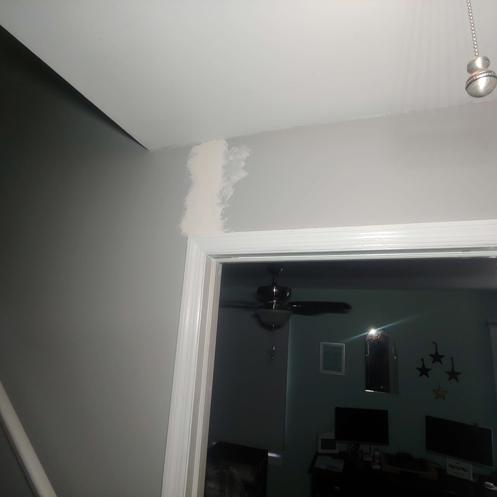 Paint and Trim