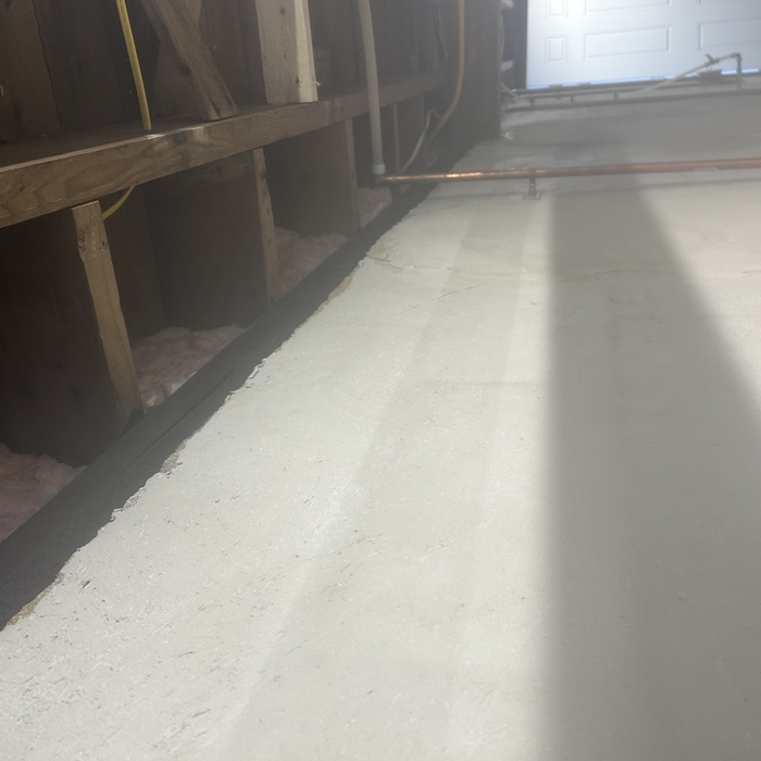 mold treatment