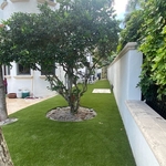 Artificial Turf