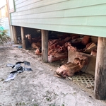 Crawl Space debris removal