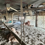 Crawl Space Debris removal