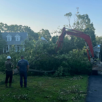 NexGen Tree Services