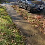Before and after