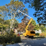 Bucket Truck