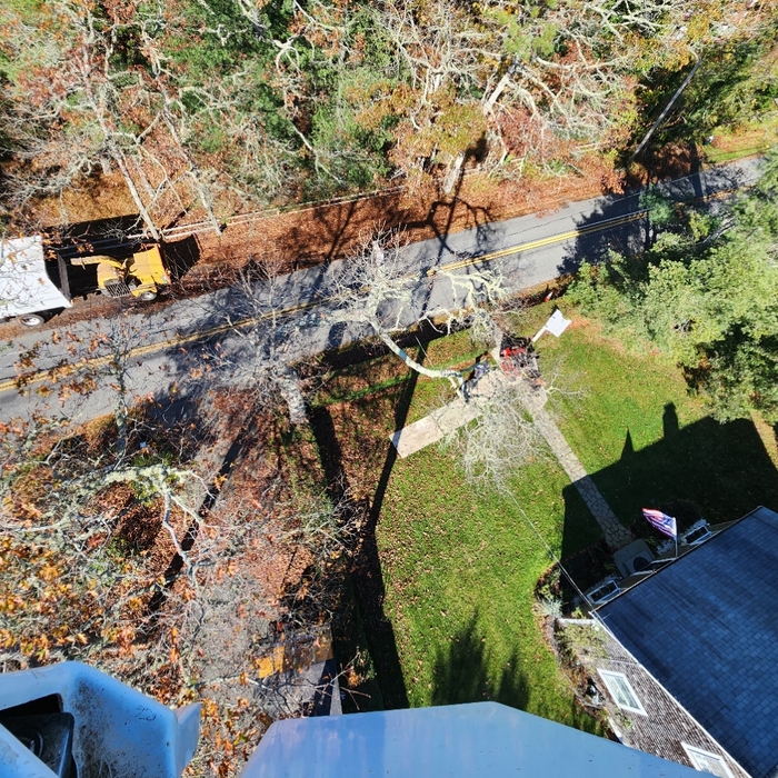 View form above