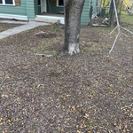 Front yard makeover