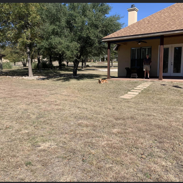 Back yard addition