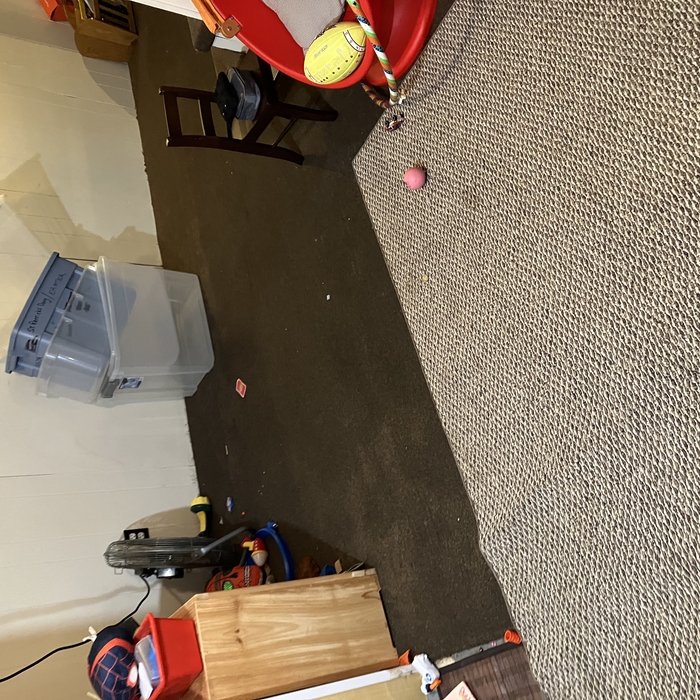 Water mitigation