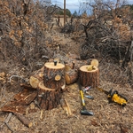 Splitting Wood