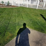 Lawn Care