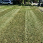Lawn Care