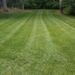 Lawn Care