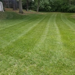 Lawn Care