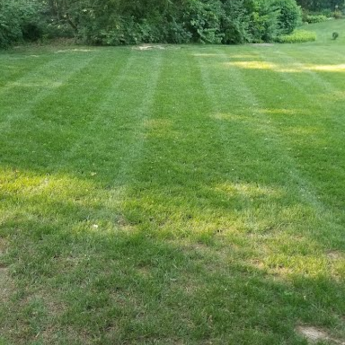 Lawn Care