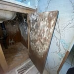 Mold Remediation