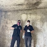 Mold Remediation