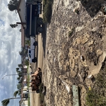 Driveway Debris