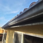 Gutter Cleaning