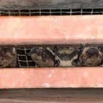 Bats