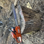 Stump