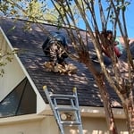 Shingle Roof Repair