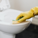 Toilet Cleaning