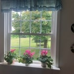 window