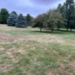 before photo