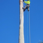 Our Work