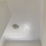 mold clean up