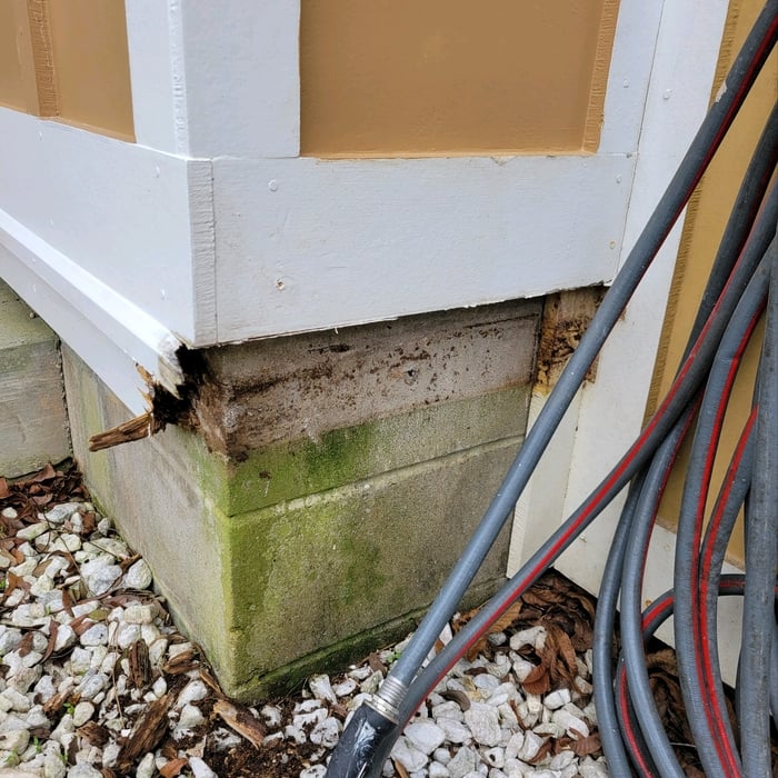 Small rot repair job