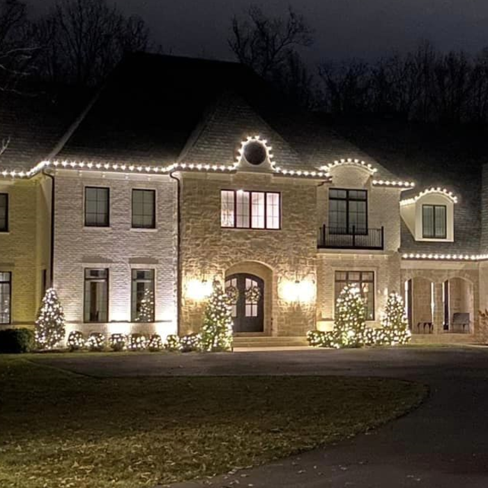 Holiday Lights