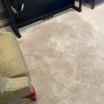 Carpet