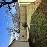 Inside of the yard looking at the fence
