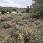 Land clearing