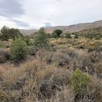 Land clearing