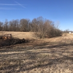 Clearing fence row