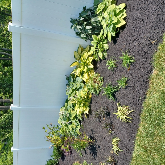 Bed Installation