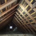 From the attic