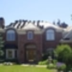 HoneyLocust in action